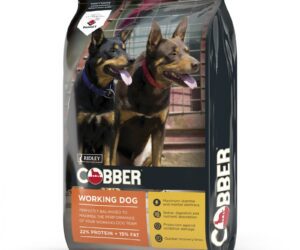 COBBER WORKING DOG 20KG