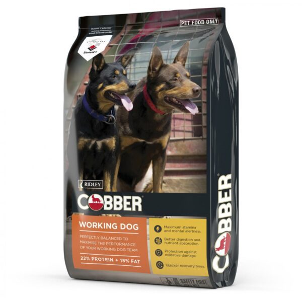 COBBER WORKING DOG 20KG