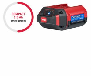 60V 2.5Ah 135W Battery