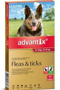 ADVANTIX LARGE DOG 10-25KG 3PK