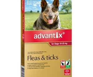 ADVANTIX LARGE DOG 10-25KG 3PK