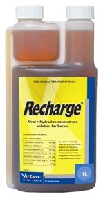 RECHARGE 1L HORSES