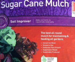 ROCKY POINT SUGAR CANE MULCH (20m2)