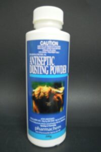 ANTISEPTIC DUSTING POWDER 200G