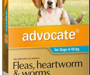 ADVOCATE DOG M 4-10KG 3PK