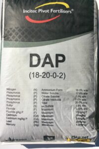 DAP 25KG