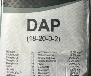 DAP 25KG