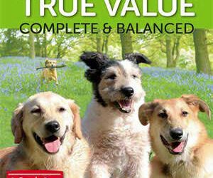 DOGPRO TRUE VALUE 20KG