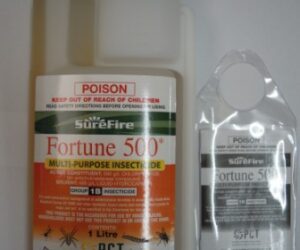 FORTUNE 500 1L