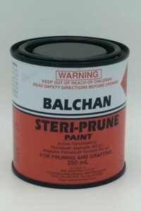 STERI-PRUNE PAINT 250ML D