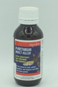 KENDON PYRETHRUM INSECT KILLER 100ML