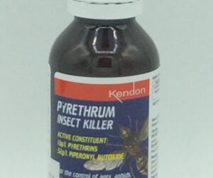 KENDON PYRETHRUM INSECT KILLER 100ML