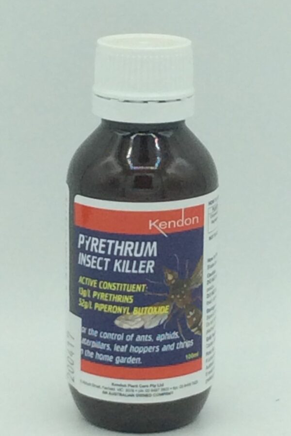 KENDON PYRETHRUM INSECT KILLER 100ML