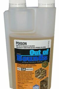 OUT OF BOUNDS 1L