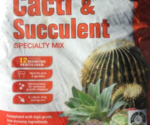 SEARLES CACTI & SUCCULENT MIX 10L
