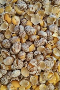 CRACKED LUPINS 20KG