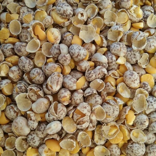 CRACKED LUPINS 20KG