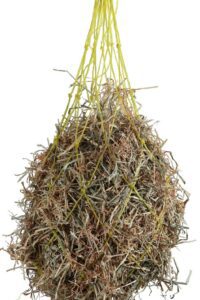 HEAVY DUTY HAYNET MEDIUM/40" YELLOW