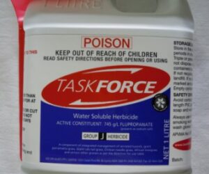 TASK FORCE 1L