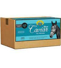 OLSSONS BLUE CAVIAR EQUINE BLOCK 15KG