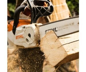 BATTERY CHAINSAW 12" INC AK30 AL101