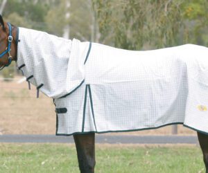 GG TEARSTOP COMBO 6'6" WHITE/NAVY