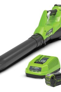 GREENWORKS 40V CORDLESS AXIAL BLOWER KIT