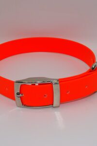 DOG COLLAR N/P LARGE 45-55CM FLURO ORANGE