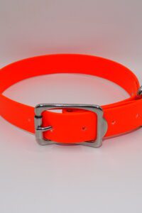 DOG COLLAR S/S LARGE 45-55CM FLURO ORANGE