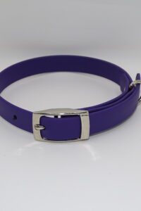 DOG COLLAR N/P SMALL 25-35CM PURPLE