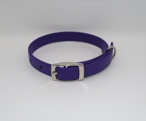 DOG COLLAR N/P SMALL 25-35CM PURPLE