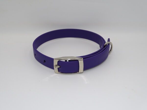 DOG COLLAR N/P SMALL 25-35CM PURPLE