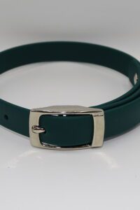 DOG COLLAR N/P SMALL 25-35CM GREEN
