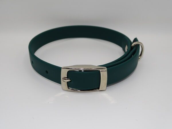 DOG COLLAR N/P SMALL 25-35CM GREEN