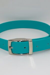 DOG COLLAR N/P MEDIUM 35-45CM TEAL