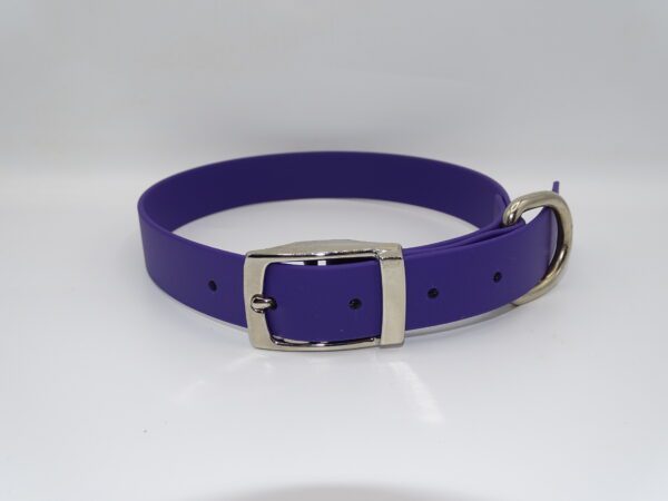 DOG COLLAR N/P LARGE 45-55CM PURPLE