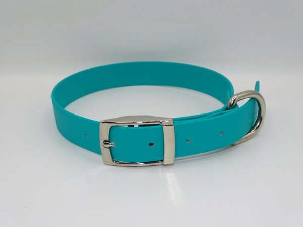 DOG COLLAR N/P LARGE 45-55CM TEAL