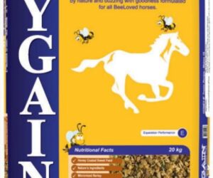 HYGAIN HONEY B 20KG