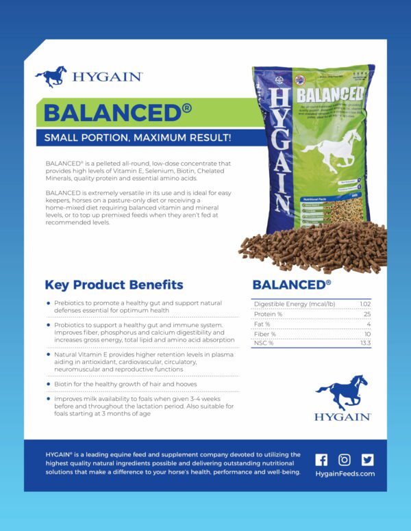 HYGAIN BALANCED 20KG - Image 2