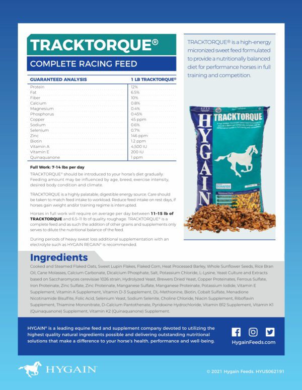 HYGAIN TRACKTORQUE 20KG - Image 2