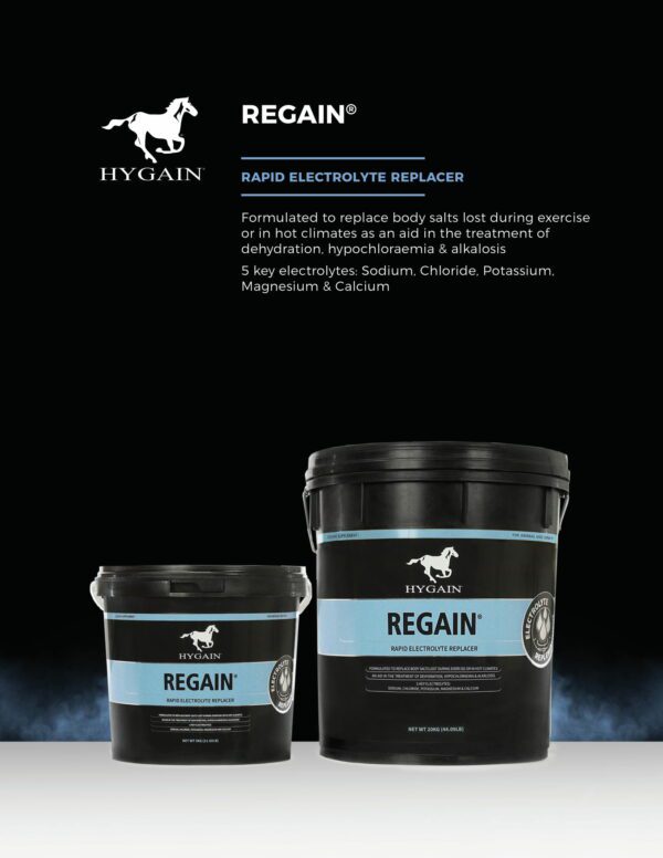 HYGAIN REGAIN 20KG - Image 3