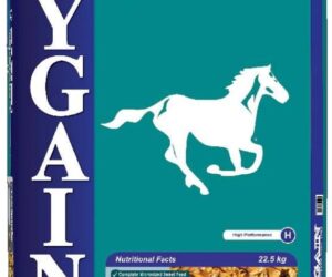 HYGAIN TRACKTORQUE 20KG