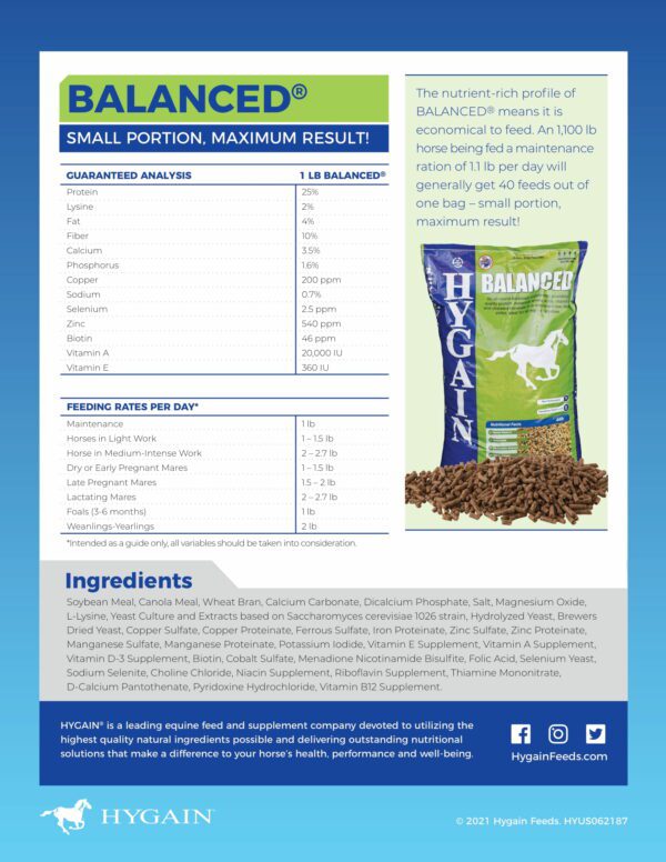HYGAIN BALANCED 20KG - Image 3