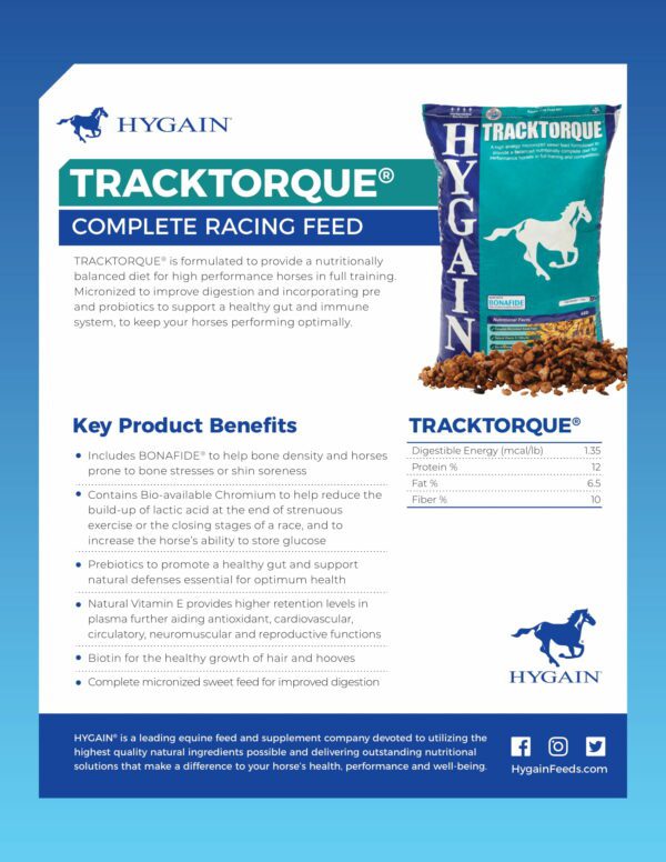 HYGAIN TRACKTORQUE 20KG - Image 3