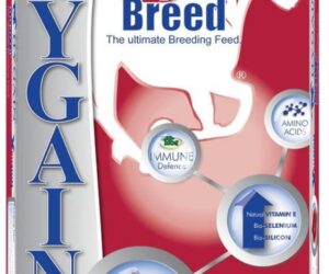 HYGAIN TRU BREED 20KG