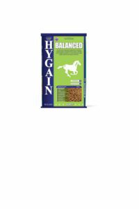 HYGAIN BALANCED 20KG