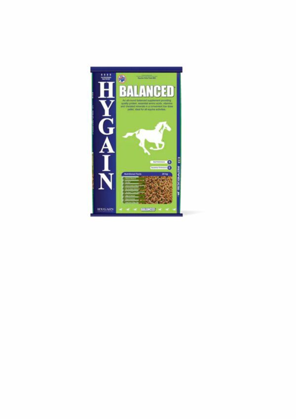 HYGAIN BALANCED 20KG