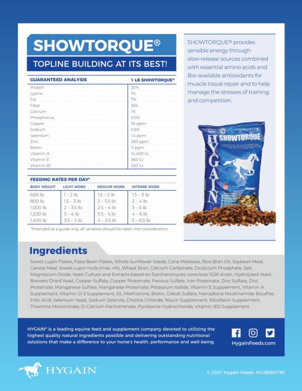 HYGAIN SHOWTORQUE 20KG - Image 3