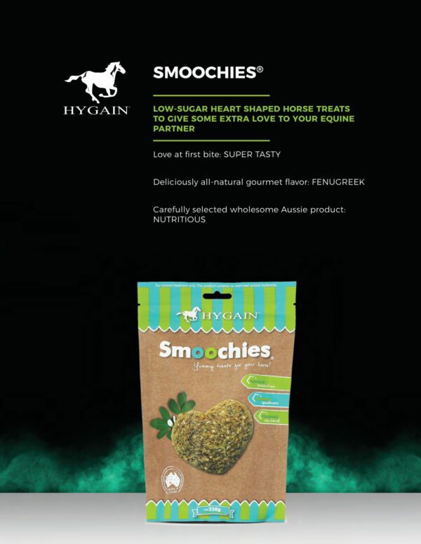 HYGAIN SMOOCHIES 250G - Image 2