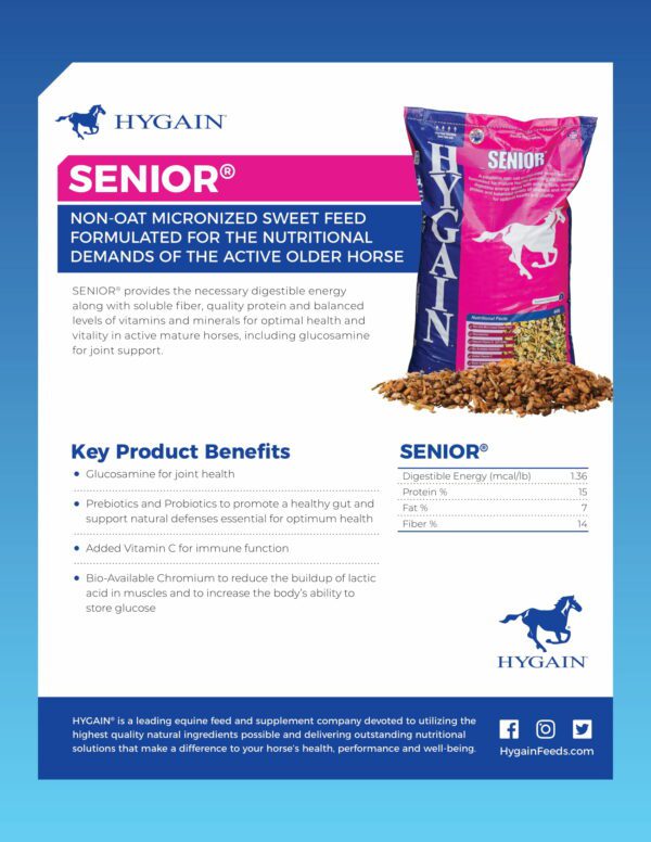 HYGAIN EQUINE SENIOR 20KG - Image 2